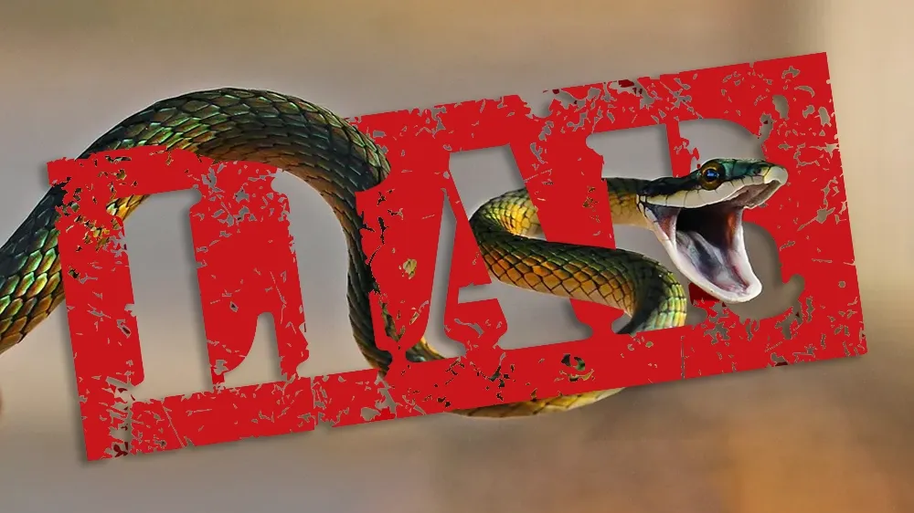 a liar