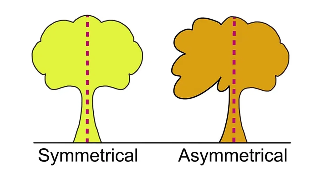 a symmetry break down