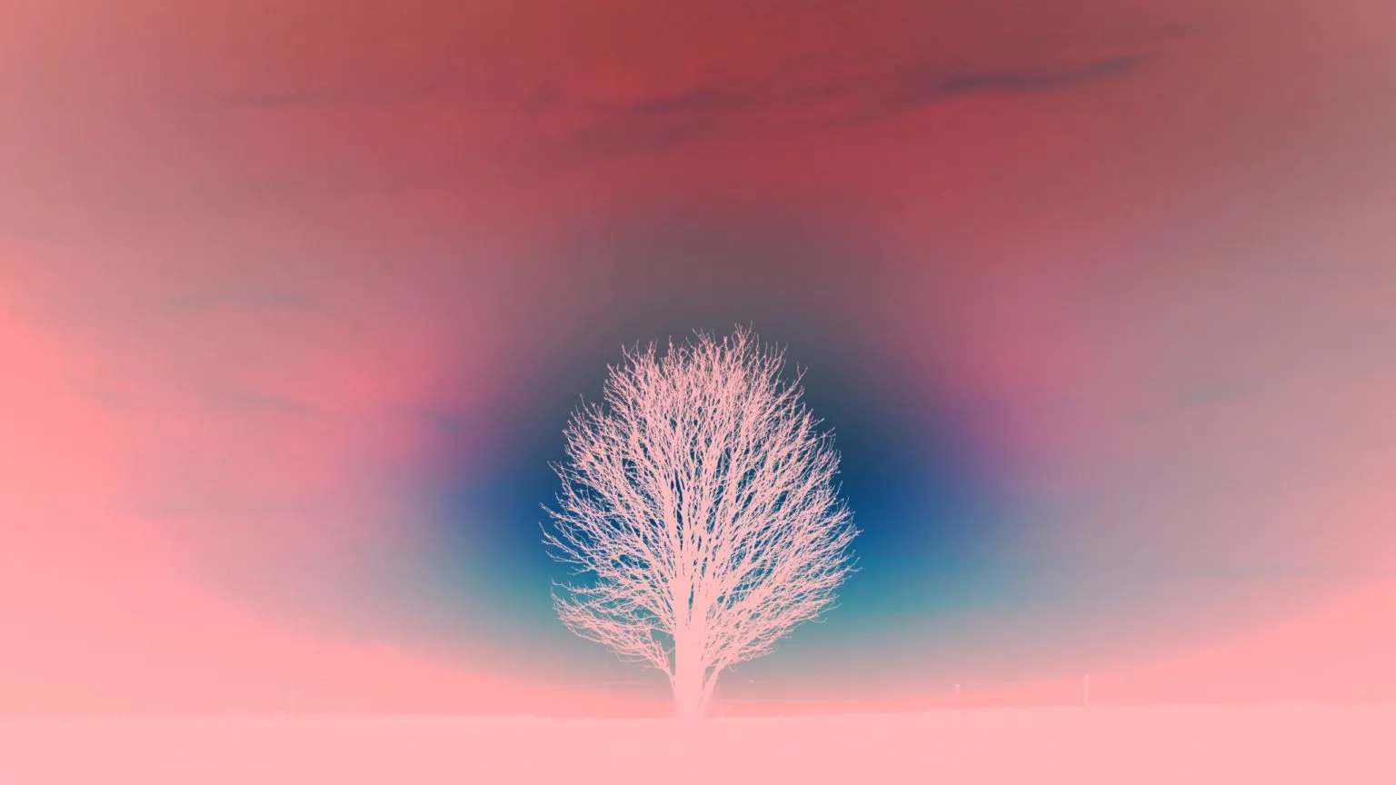 a spiritual as a process of reality